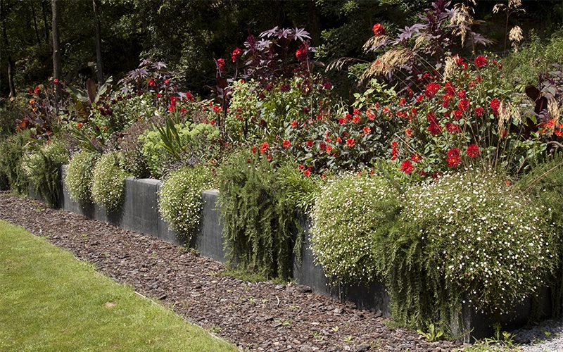 Introducir el rojo en el jardín: el más difícil todavía